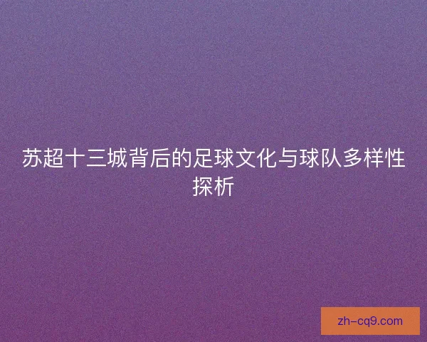 苏超十三城背后的足球文化与球队多样性探析