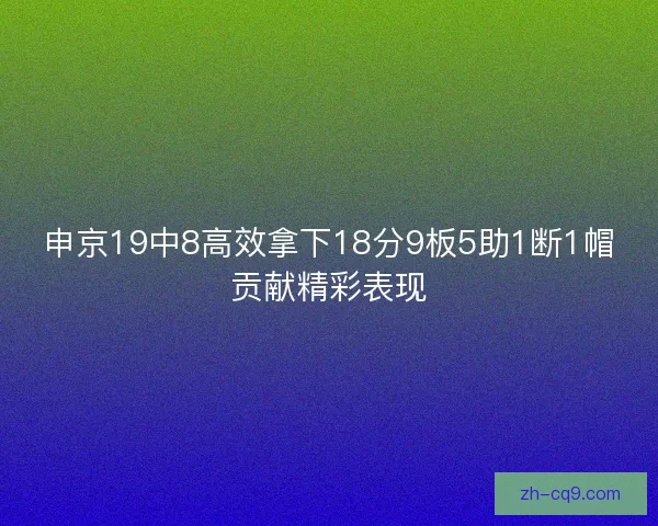 申京19中8高效拿下18分9板5助1断1帽贡献精彩表现