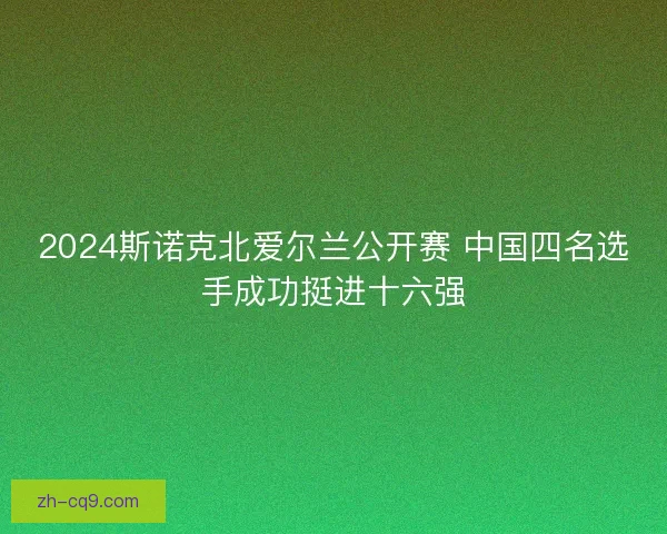 2024斯诺克北爱尔兰公开赛 中国四名选手成功挺进十六强